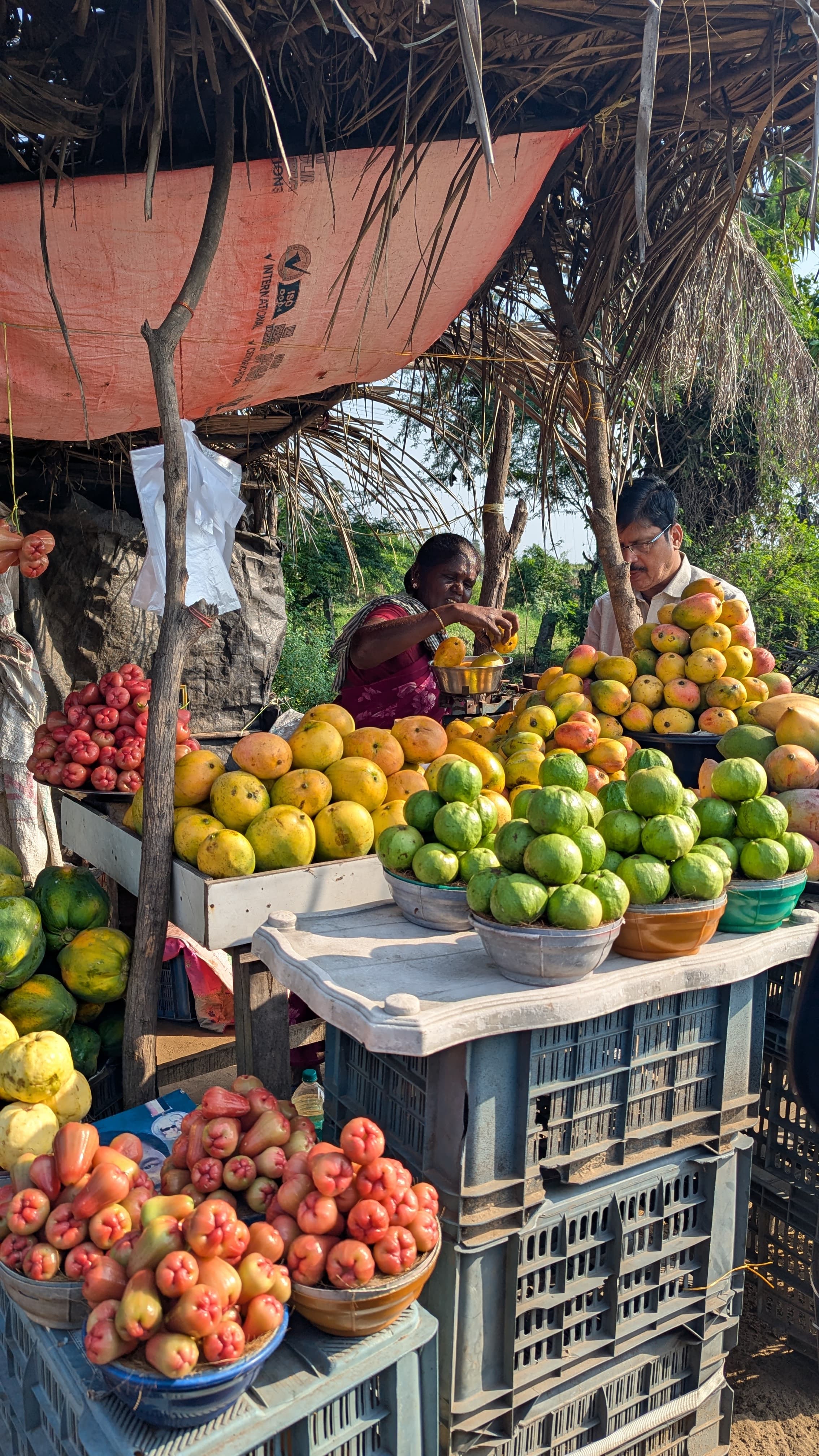chola mandalam